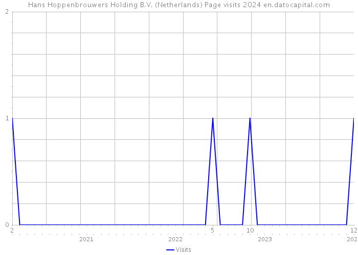 Hans Hoppenbrouwers Holding B.V. (Netherlands) Page visits 2024 