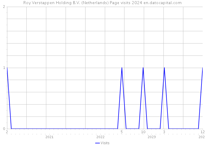 Roy Verstappen Holding B.V. (Netherlands) Page visits 2024 