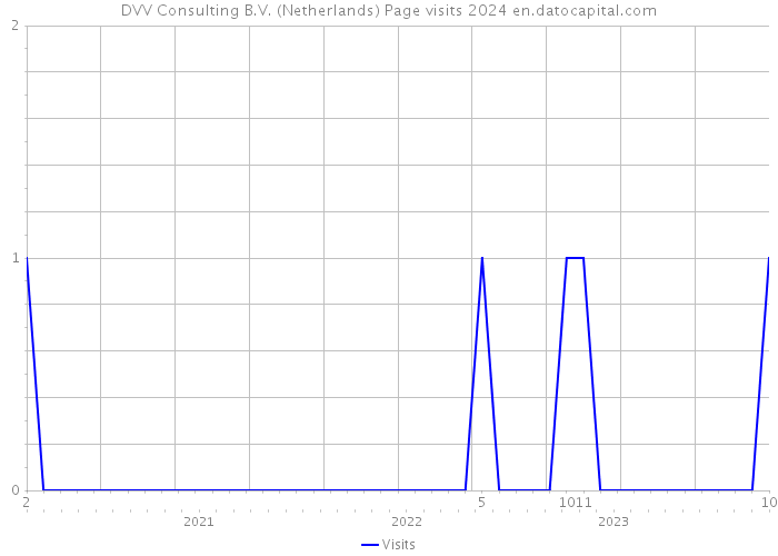 DVV Consulting B.V. (Netherlands) Page visits 2024 