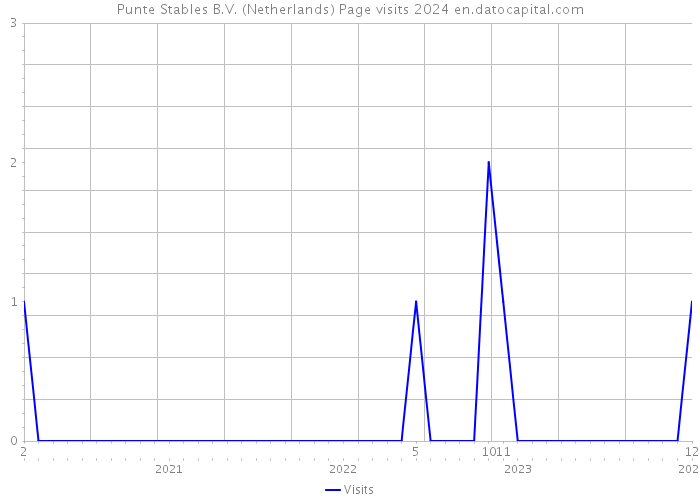 Punte Stables B.V. (Netherlands) Page visits 2024 