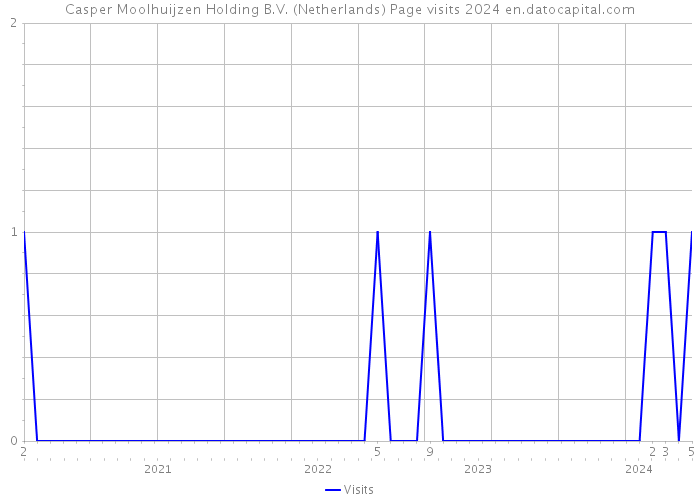 Casper Moolhuijzen Holding B.V. (Netherlands) Page visits 2024 
