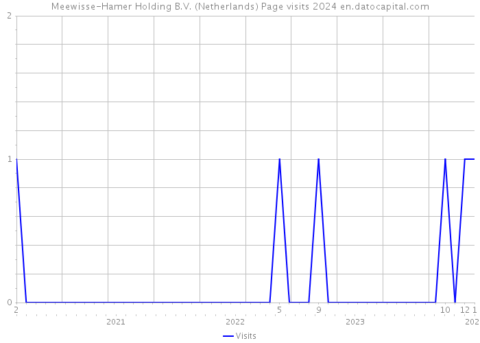 Meewisse-Hamer Holding B.V. (Netherlands) Page visits 2024 