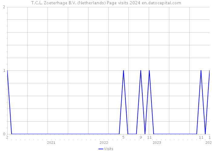 T.C.L. Zoeterhage B.V. (Netherlands) Page visits 2024 
