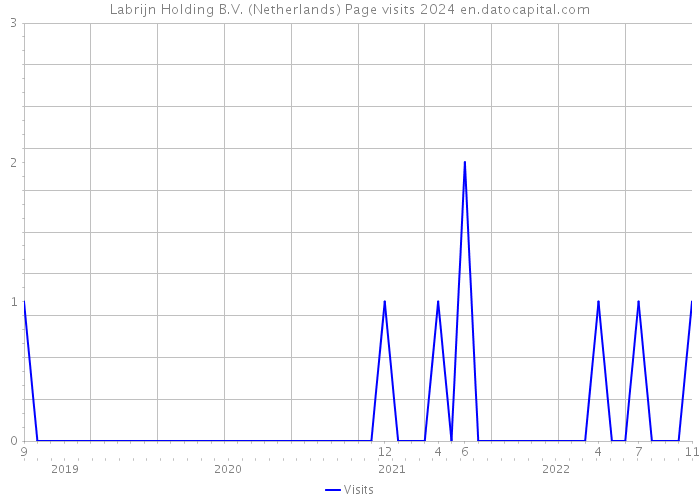 Labrijn Holding B.V. (Netherlands) Page visits 2024 