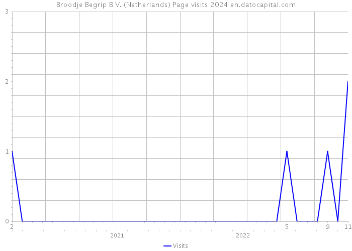 Broodje Begrip B.V. (Netherlands) Page visits 2024 