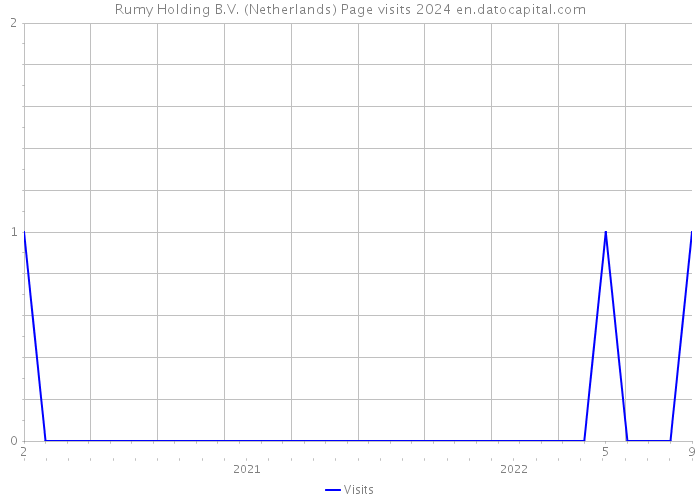 Rumy Holding B.V. (Netherlands) Page visits 2024 