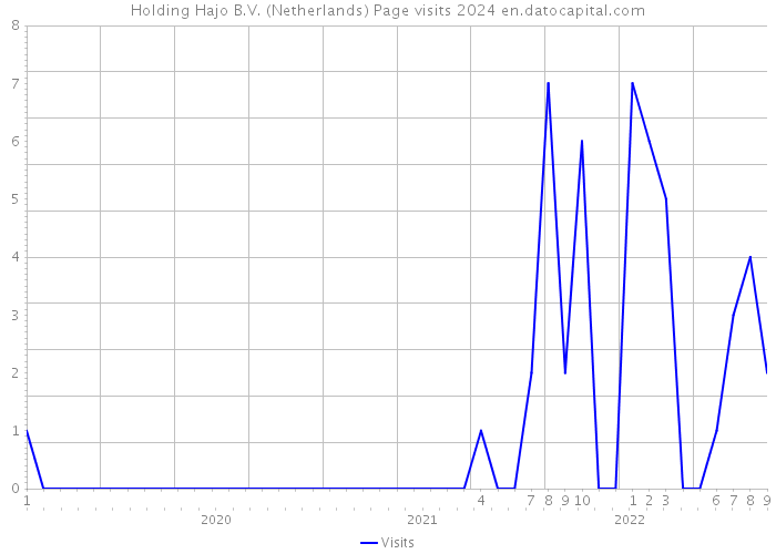 Holding Hajo B.V. (Netherlands) Page visits 2024 