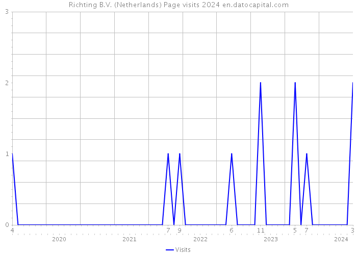 Richting B.V. (Netherlands) Page visits 2024 