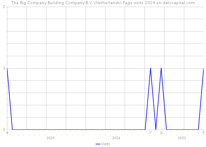 The Big Company Building Company B.V. (Netherlands) Page visits 2024 