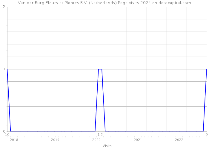 Van der Burg Fleurs et Plantes B.V. (Netherlands) Page visits 2024 