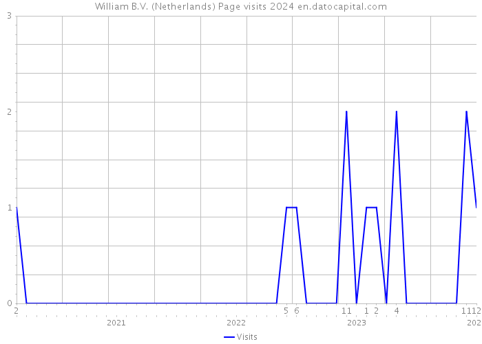 William B.V. (Netherlands) Page visits 2024 