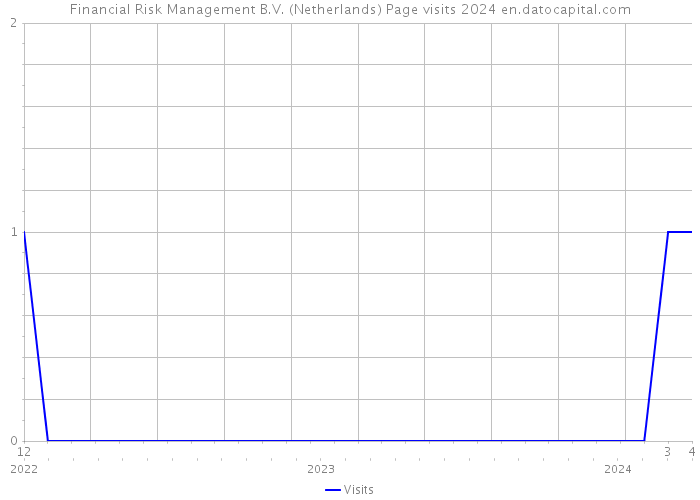 Financial Risk Management B.V. (Netherlands) Page visits 2024 