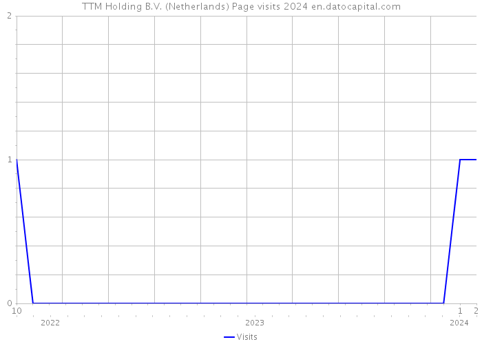 TTM Holding B.V. (Netherlands) Page visits 2024 