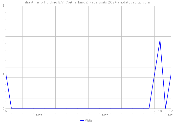Tilia Almelo Holding B.V. (Netherlands) Page visits 2024 