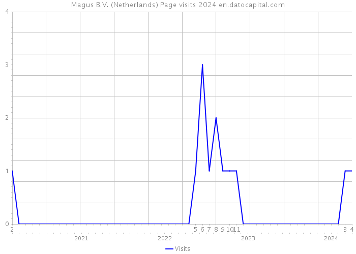 Magus B.V. (Netherlands) Page visits 2024 