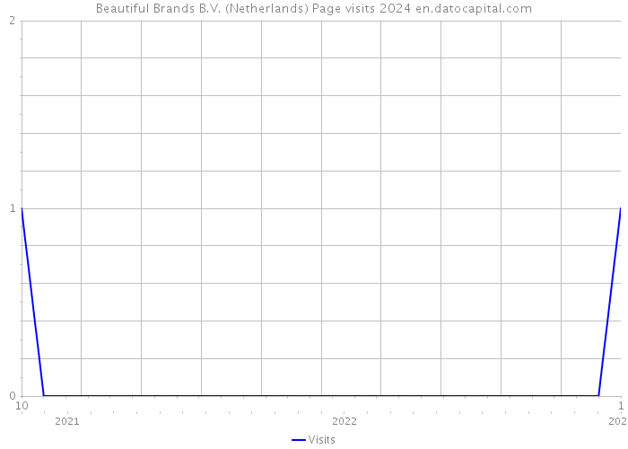 Beautiful Brands B.V. (Netherlands) Page visits 2024 
