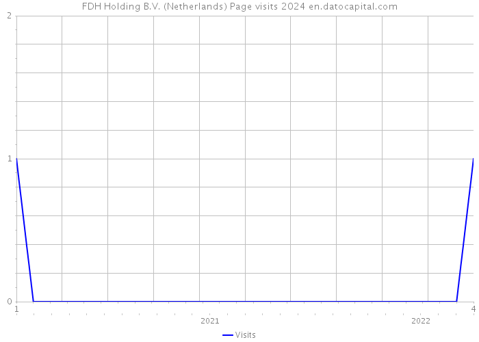 FDH Holding B.V. (Netherlands) Page visits 2024 