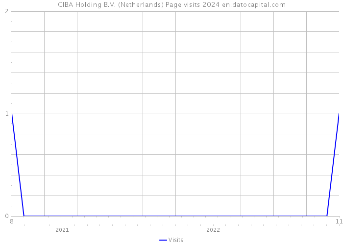 GIBA Holding B.V. (Netherlands) Page visits 2024 
