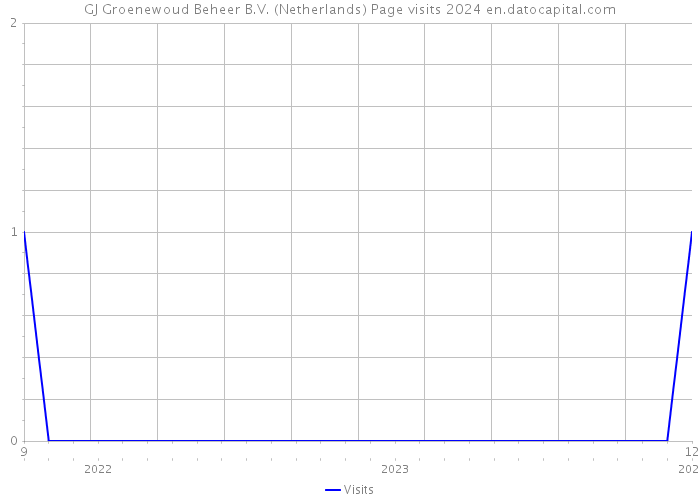 GJ Groenewoud Beheer B.V. (Netherlands) Page visits 2024 