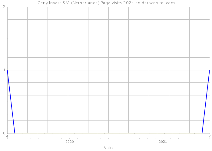 Geny Invest B.V. (Netherlands) Page visits 2024 
