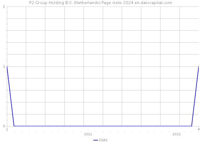 P2 Group Holding B.V. (Netherlands) Page visits 2024 