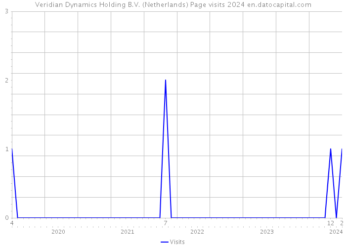 Veridian Dynamics Holding B.V. (Netherlands) Page visits 2024 