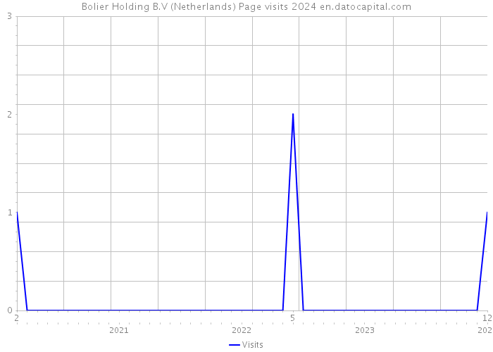 Bolier Holding B.V (Netherlands) Page visits 2024 