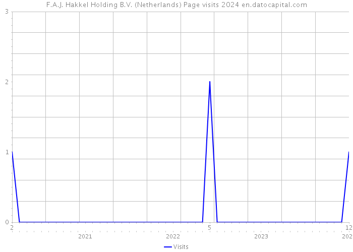 F.A.J. Hakkel Holding B.V. (Netherlands) Page visits 2024 
