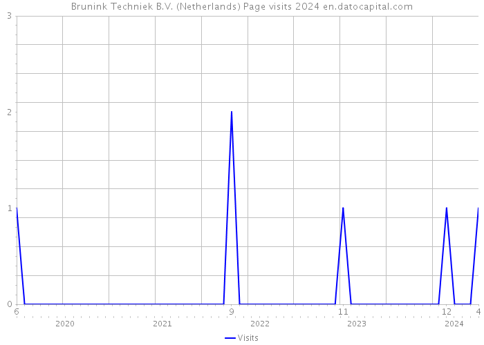 Brunink Techniek B.V. (Netherlands) Page visits 2024 