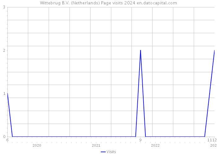 Wittebrug B.V. (Netherlands) Page visits 2024 