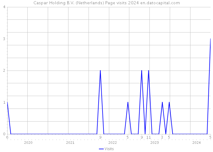 Caspar Holding B.V. (Netherlands) Page visits 2024 