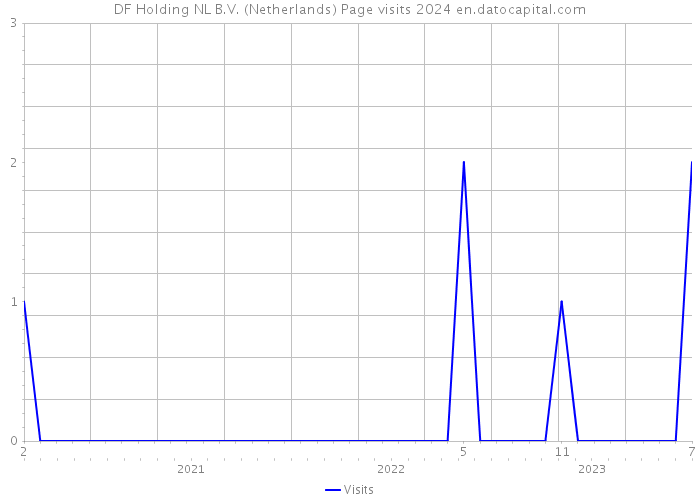 DF Holding NL B.V. (Netherlands) Page visits 2024 