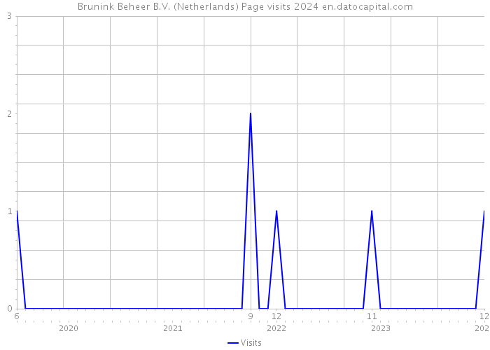 Brunink Beheer B.V. (Netherlands) Page visits 2024 