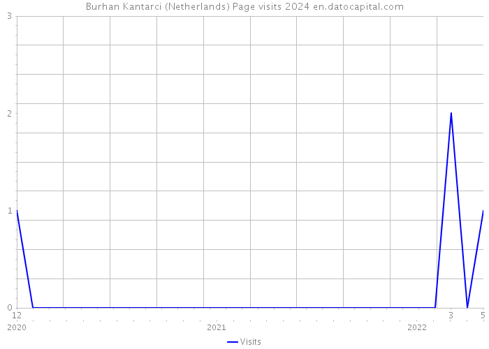 Burhan Kantarci (Netherlands) Page visits 2024 