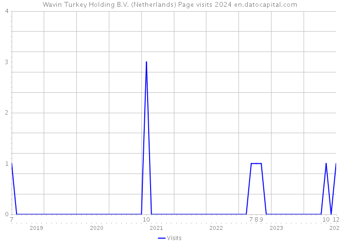 Wavin Turkey Holding B.V. (Netherlands) Page visits 2024 