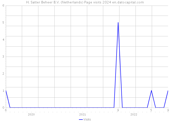 H. Satter Beheer B.V. (Netherlands) Page visits 2024 
