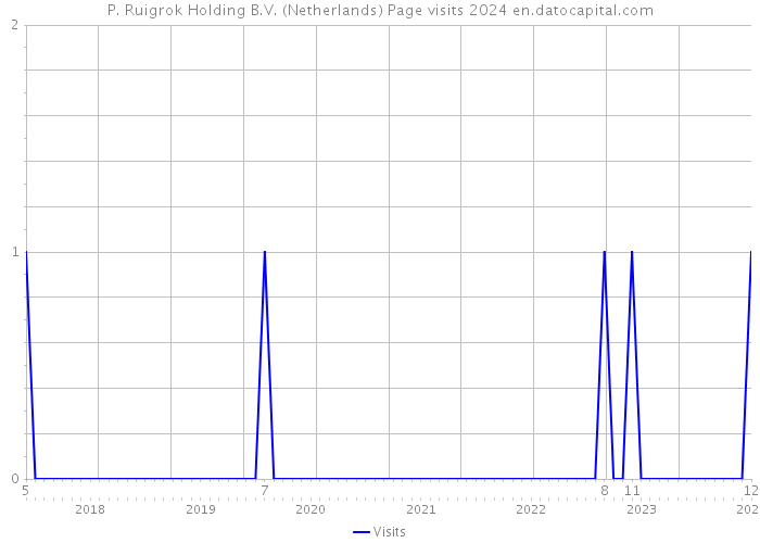P. Ruigrok Holding B.V. (Netherlands) Page visits 2024 