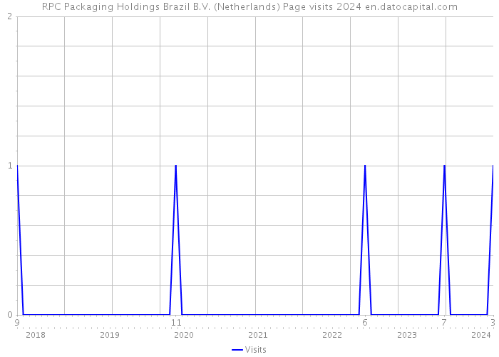 RPC Packaging Holdings Brazil B.V. (Netherlands) Page visits 2024 