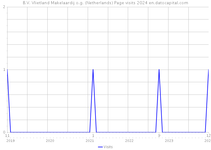B.V. Vlietland Makelaardij o.g. (Netherlands) Page visits 2024 