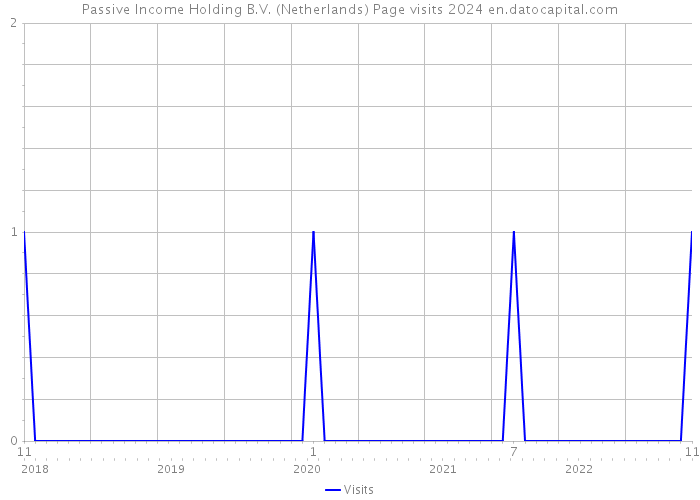Passive Income Holding B.V. (Netherlands) Page visits 2024 
