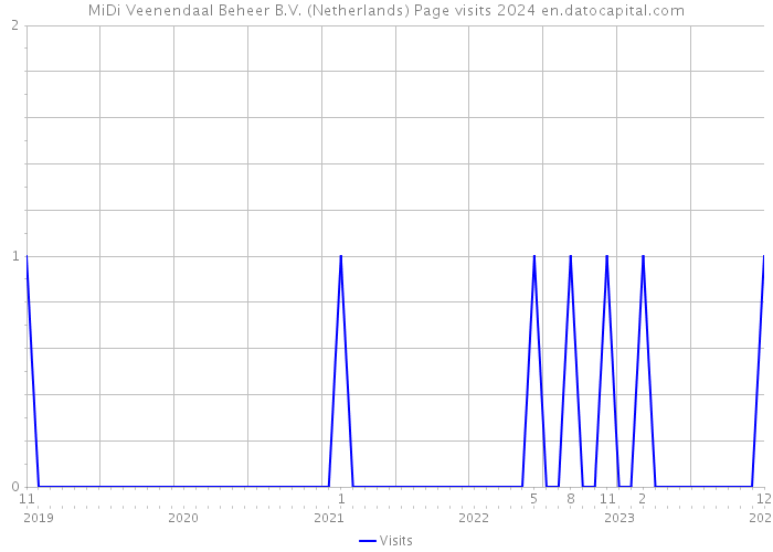 MiDi Veenendaal Beheer B.V. (Netherlands) Page visits 2024 
