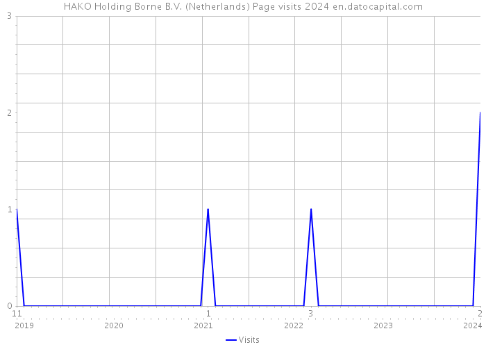HAKO Holding Borne B.V. (Netherlands) Page visits 2024 