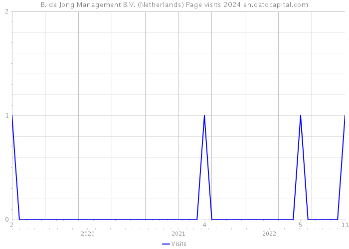 B. de Jong Management B.V. (Netherlands) Page visits 2024 