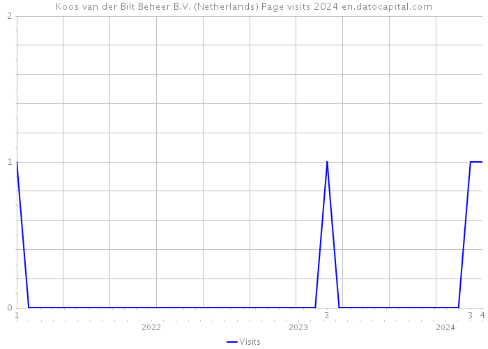 Koos van der Bilt Beheer B.V. (Netherlands) Page visits 2024 