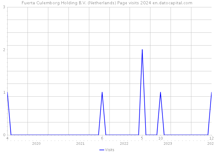 Fuerta Culemborg Holding B.V. (Netherlands) Page visits 2024 