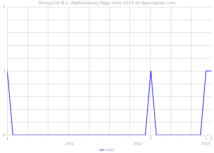 Mong Kok B.V. (Netherlands) Page visits 2024 