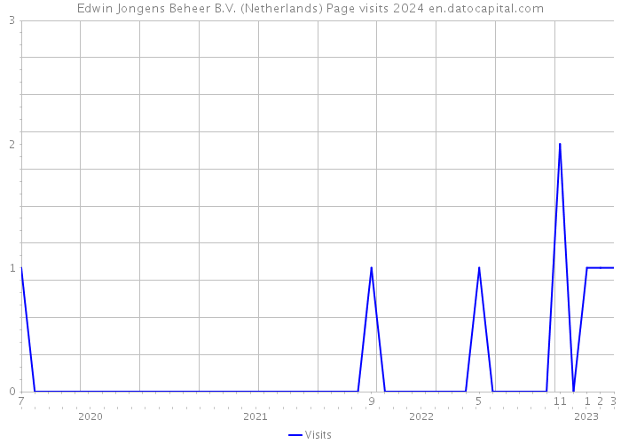 Edwin Jongens Beheer B.V. (Netherlands) Page visits 2024 
