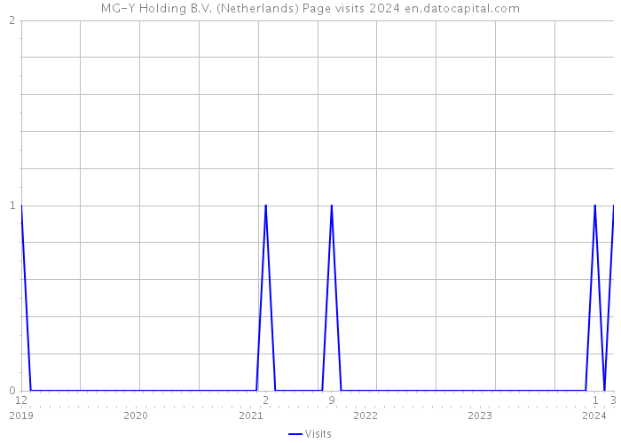 MG-Y Holding B.V. (Netherlands) Page visits 2024 