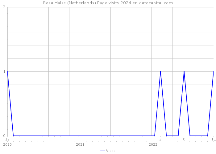Reza Halse (Netherlands) Page visits 2024 