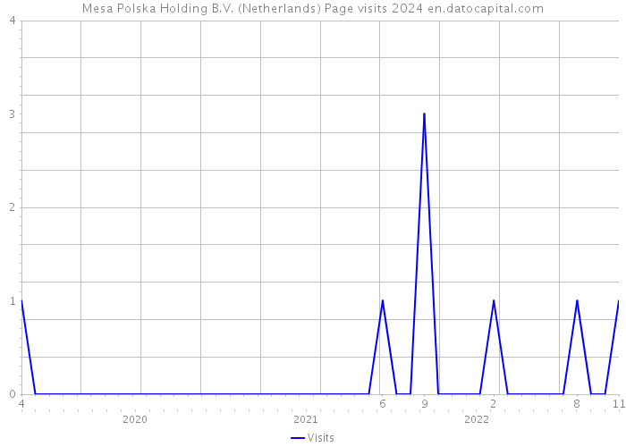 Mesa Polska Holding B.V. (Netherlands) Page visits 2024 